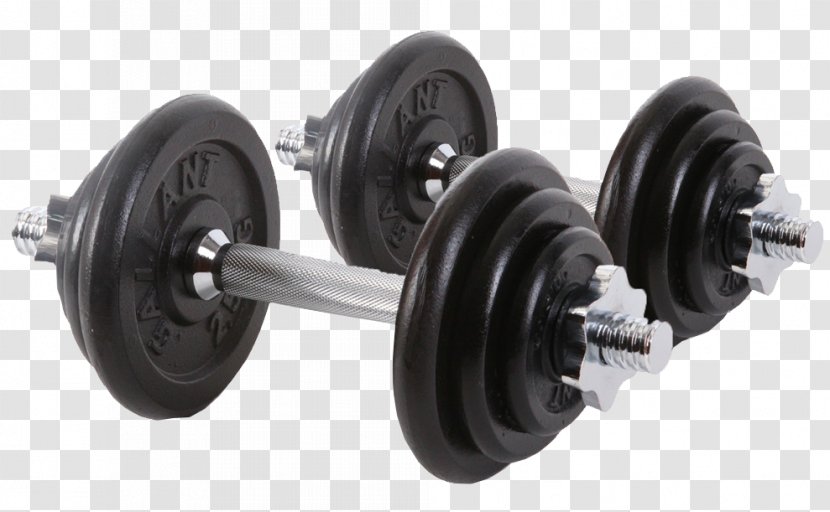 Exercise Equipment Dumbbell Bench Barbell Weight Training Transparent PNG