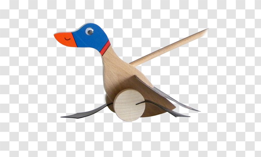 Duck Wood /m/083vt - Waterfowl Transparent PNG