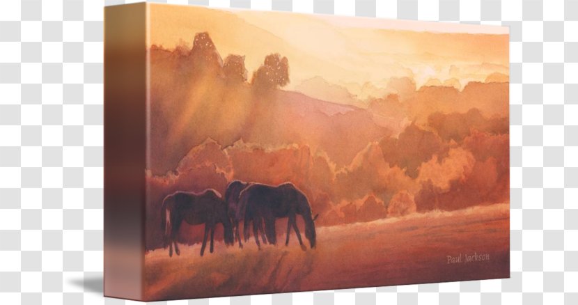 Watercolor Painting Horse Gallery Wrap Canvas - Stock Photography - Watercolour Horses Transparent PNG