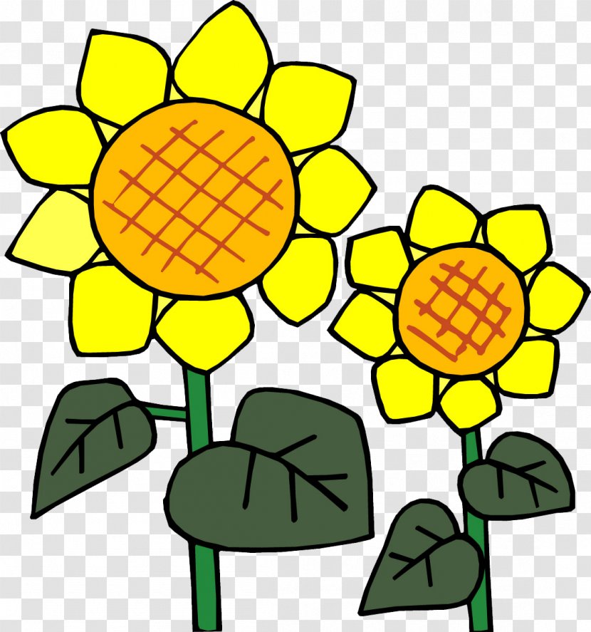 Common Sunflower Jerusalem Artichoke Drawing Child - Symmetry Transparent PNG