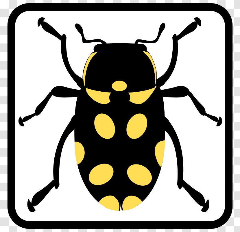 Ladybird Beetle Clip Art Shower Curtains Vector Graphics - Douchegordijn - Black Insects Transparent PNG