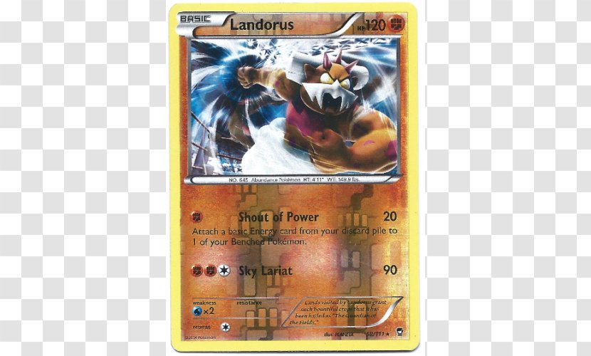 Pokémon Trading Card Game X And Y Groudon - Landorus Transparent PNG