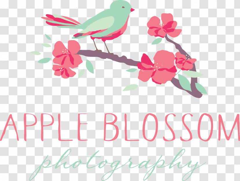 Floral Design Greeting & Note Cards Pink M Font - Flowering Plant - Mini Session Transparent PNG