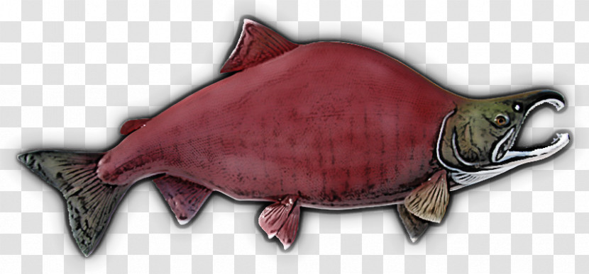 Fish Turtle Sockeye Salmon Mouth Fish Products Transparent PNG