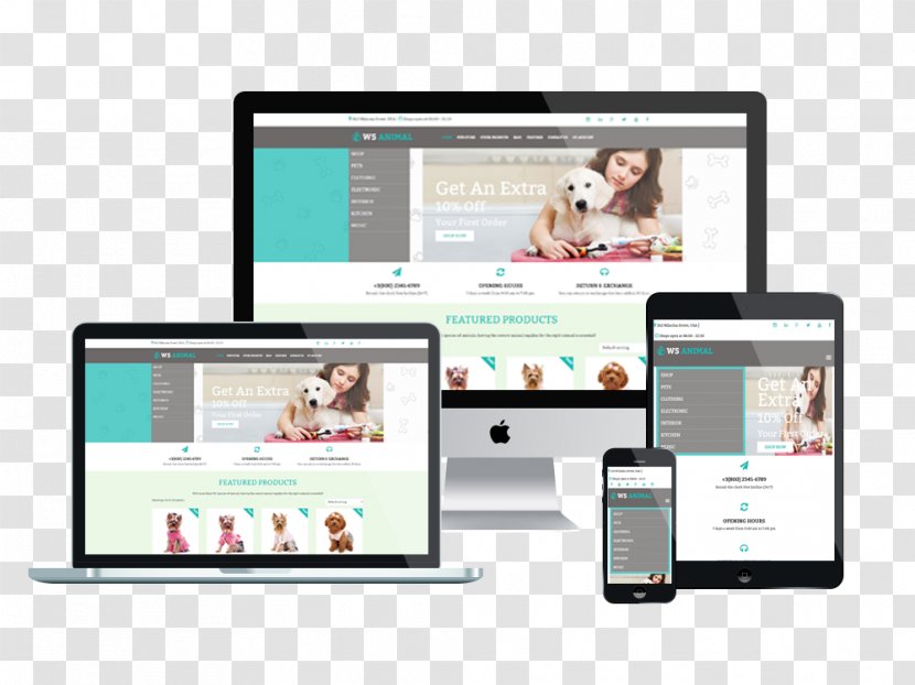 Responsive Web Design Template System Transparent PNG