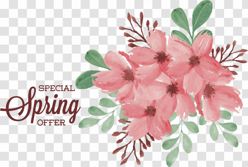 Floral Design Transparent PNG