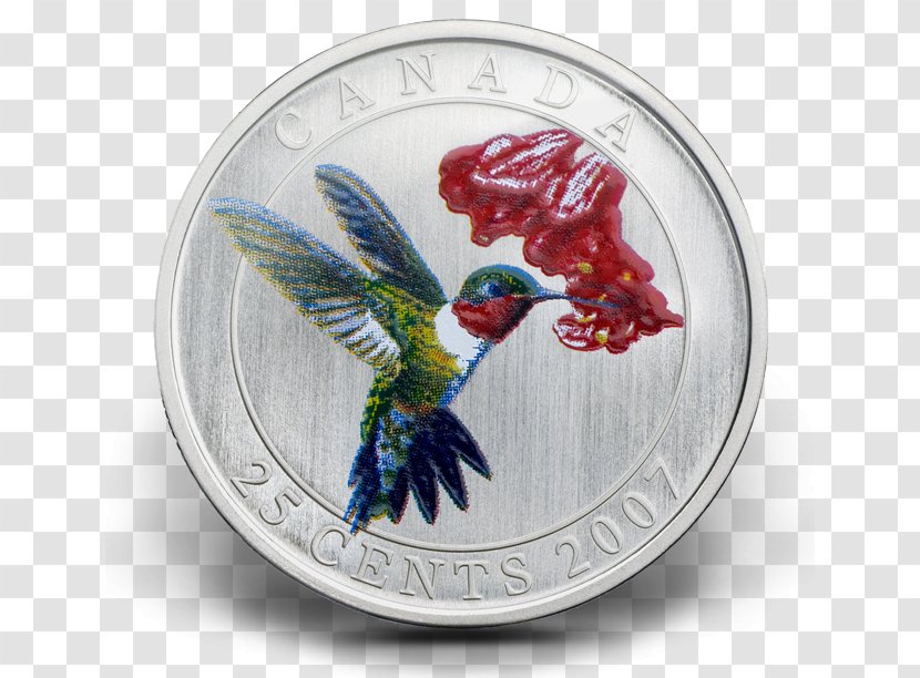 Hummingbird Quarter Coin Royal Canadian Mint - Nickel - Bird Transparent PNG