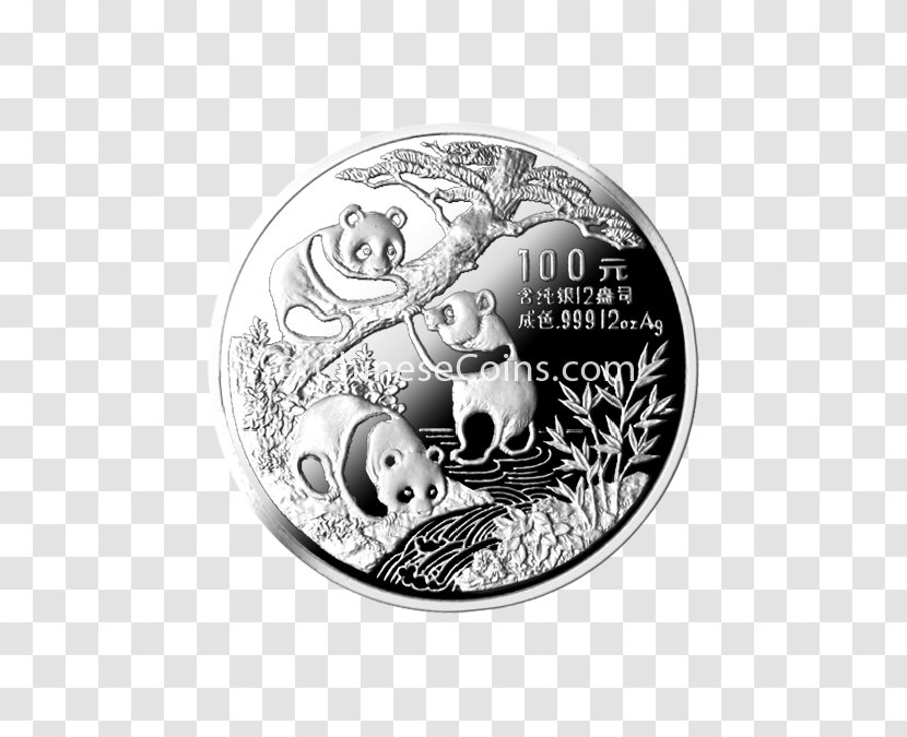 Silver Coin Transparent PNG