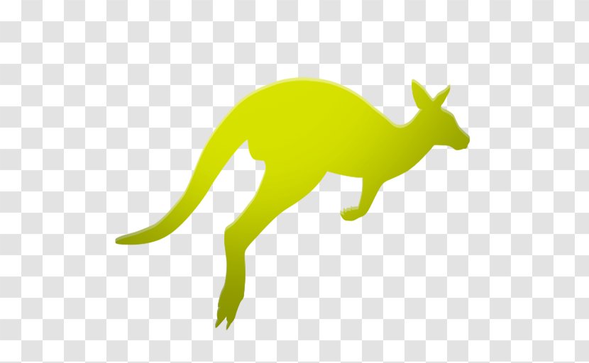 Responsive Web Design Kangaroo Macropodidae Transparent PNG