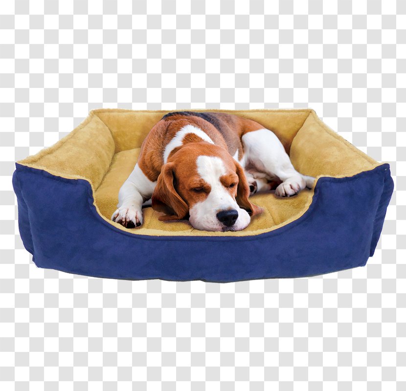 Dog Breed Puppy Collar Pillow - Like Mammal - Max Transparent PNG