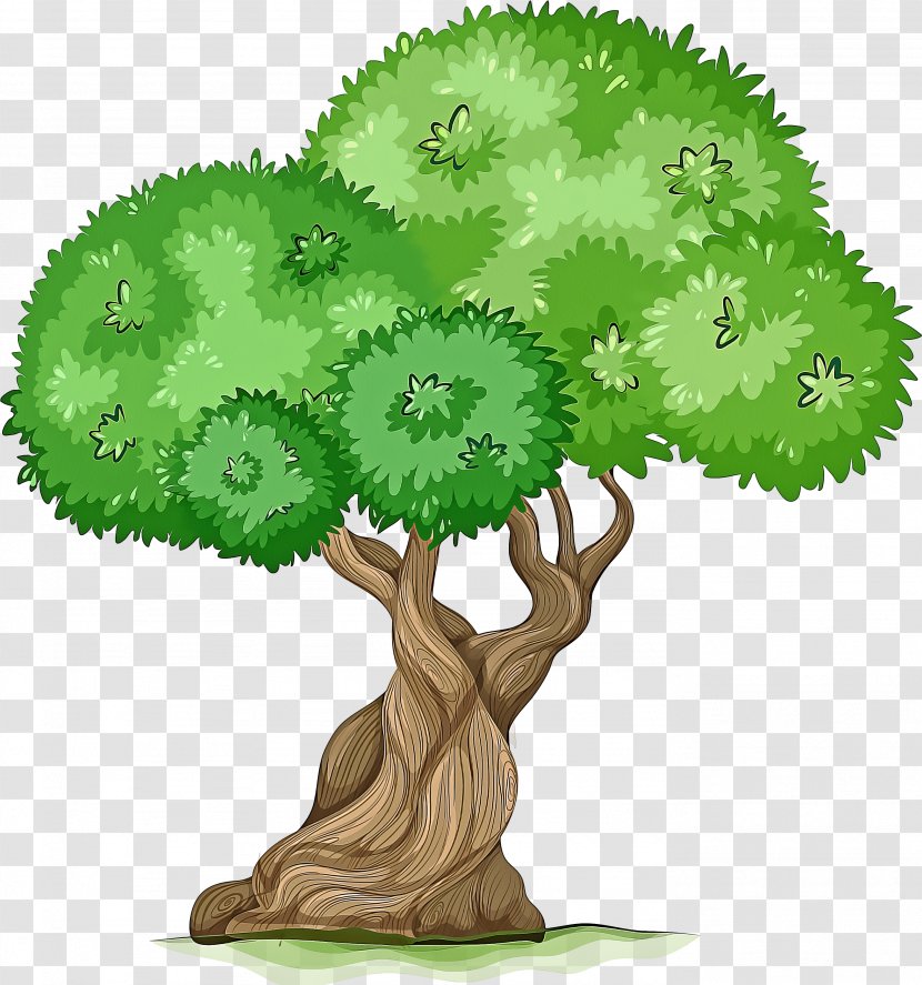 Tree Green Plant Leaf Grass - Woody Houseplant Transparent PNG