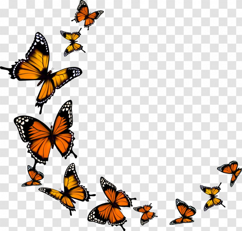 Monarch Butterfly - Artwork Transparent PNG