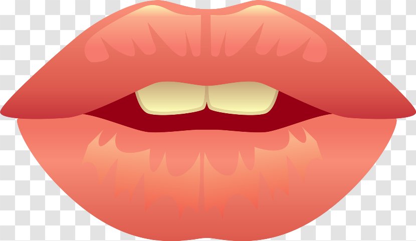 Lip Drawing Mouth Clip Art - Frame - Flower Transparent PNG