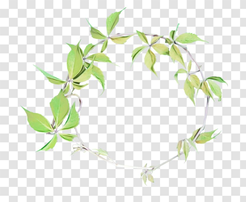 Family Tree Drawing - Akhir Pekan - Ivy Plant Stem Transparent PNG