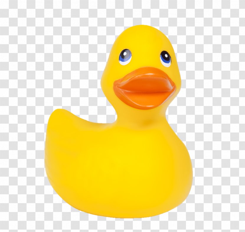 National Toy Hall Of Fame Rubber Duck Stock Photography Fotosearch - Bathing Transparent PNG