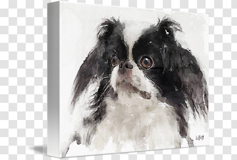 Japanese Chin Dog Breed Companion Toy Group (dog) - Like Mammal - Poster Transparent PNG