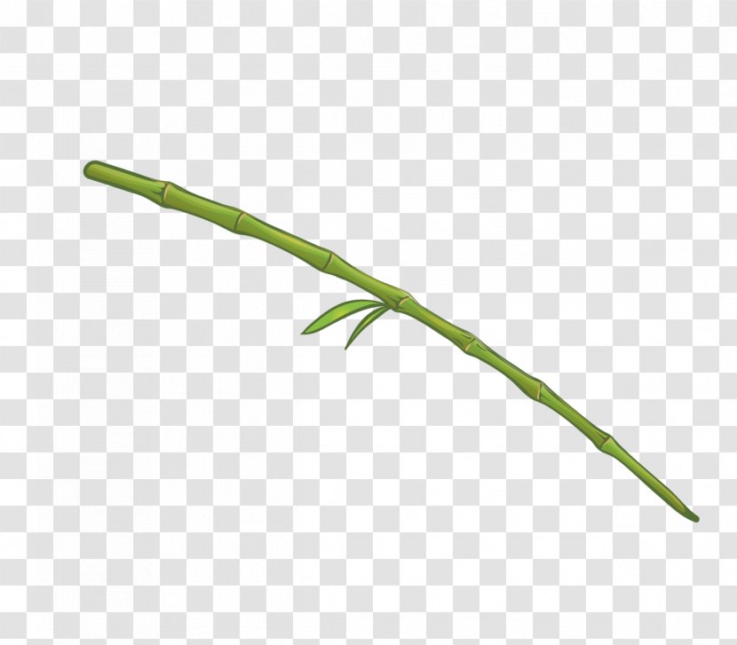 Euclidean Vector - Plant Stem - Hand-painted Bamboo Transparent PNG