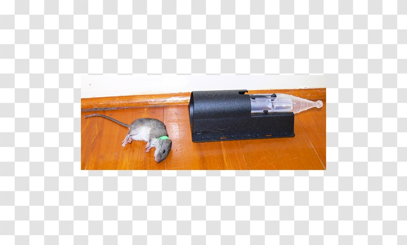 Mousetrap Rat Trap Trapping - Mouse Transparent PNG