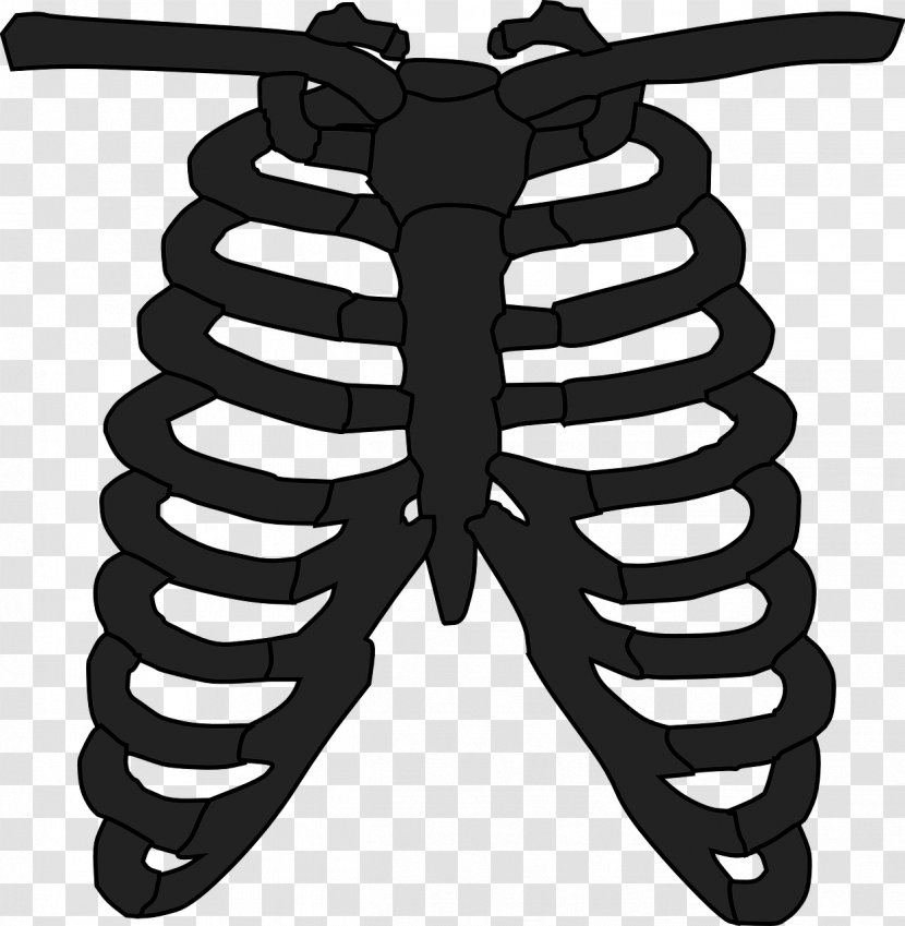 Rib Cage Human Skeleton Anatomy T-shirt - Flower Transparent PNG