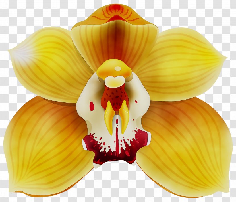 Yellow Desktop Wallpaper Red Orchids - Cattleya Transparent PNG