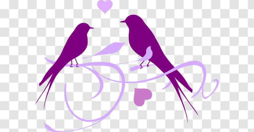 Parrot Fischer's Lovebird Portable Network Graphics Clip Art - Violet - Spaz Graphic Transparent PNG