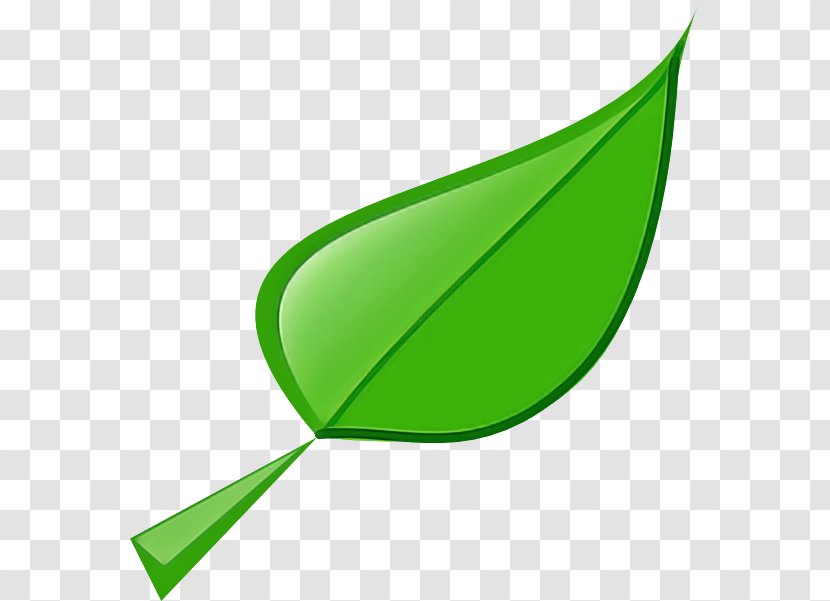 Leaf Green Clip Art Plant Line - Logo Transparent PNG