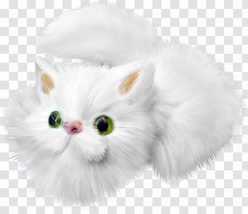 Cat Kitten White Drawing - Cartoon Transparent PNG