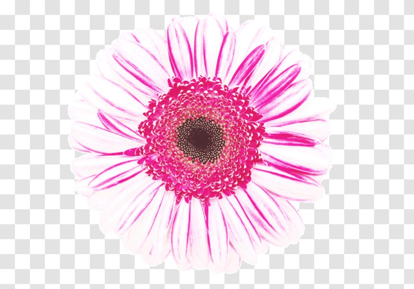 Microscope Pollen Flower - Private Appointment Transparent PNG