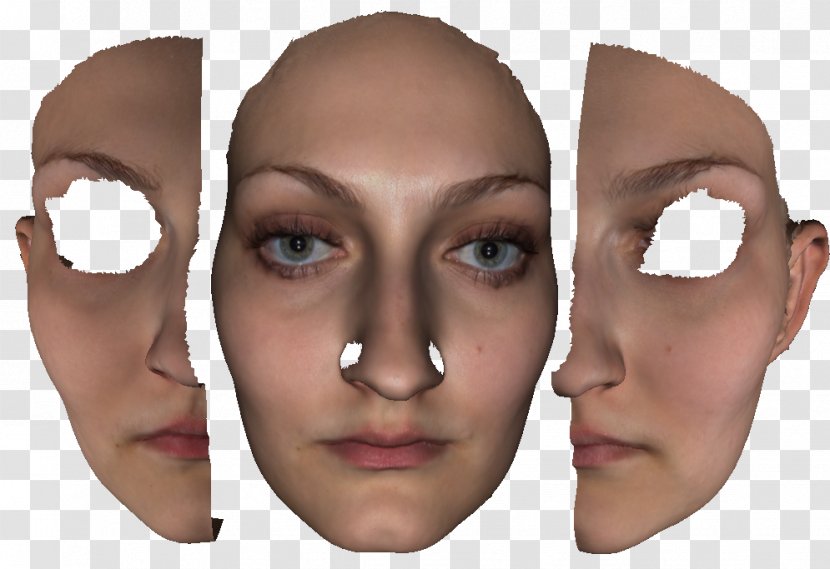Face Eyebrow Cheek Chin Nose - Eyelid Margin Transparent PNG