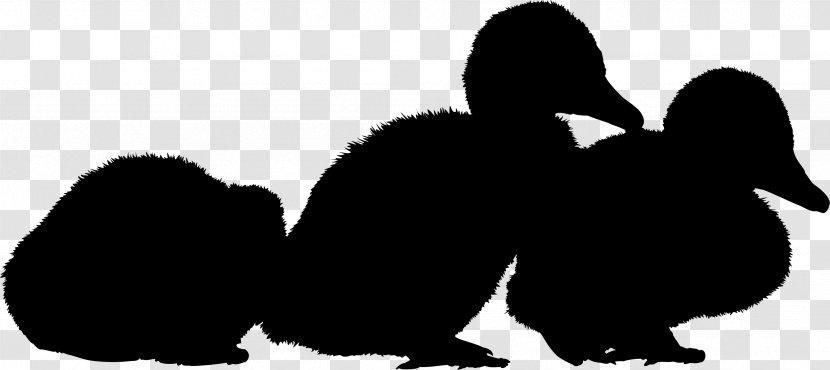 Penguin Clip Art Silhouette Beak Landfowl - Ducks Geese And Swans Transparent PNG