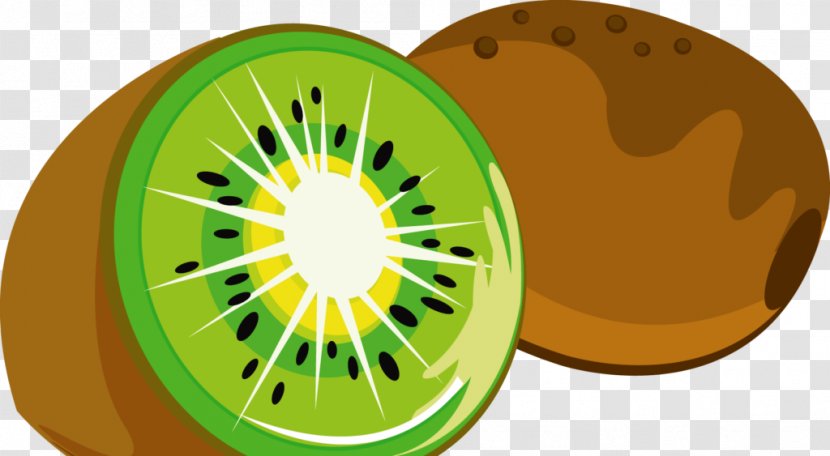Kiwifruit Auglis Clip Art - Fruit - Kiwi Byrd Transparent PNG
