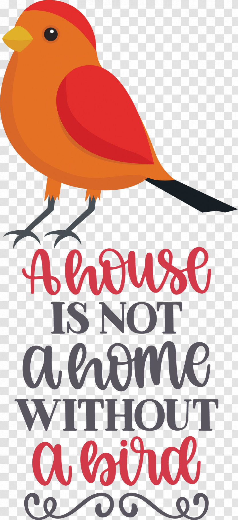 Bird Quote Bird Home Transparent PNG