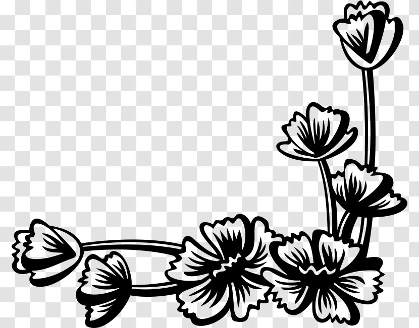 Flower Line Art - Herbaceous Plant - Wildflower Transparent PNG