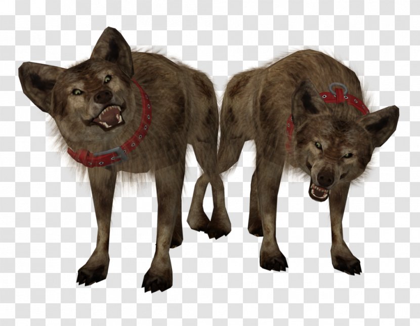 Harley Quinn Joker Batman Kunming Wolfdog Hyena - Wolf Transparent PNG