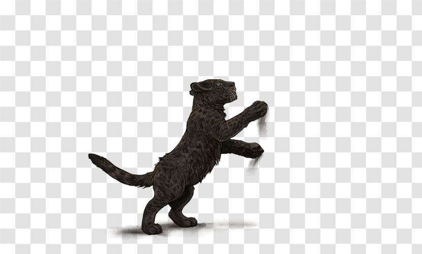 Cat Carnivora Tail Animal Mammal - Figure - Black Panther Transparent PNG