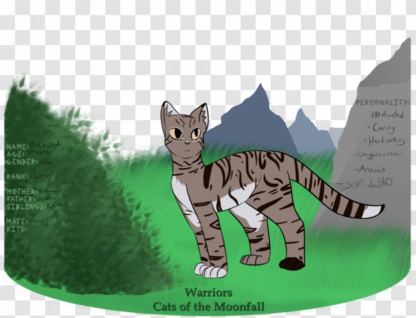 Kitten Tabby Cat Silverstream Mistystar Transparent PNG