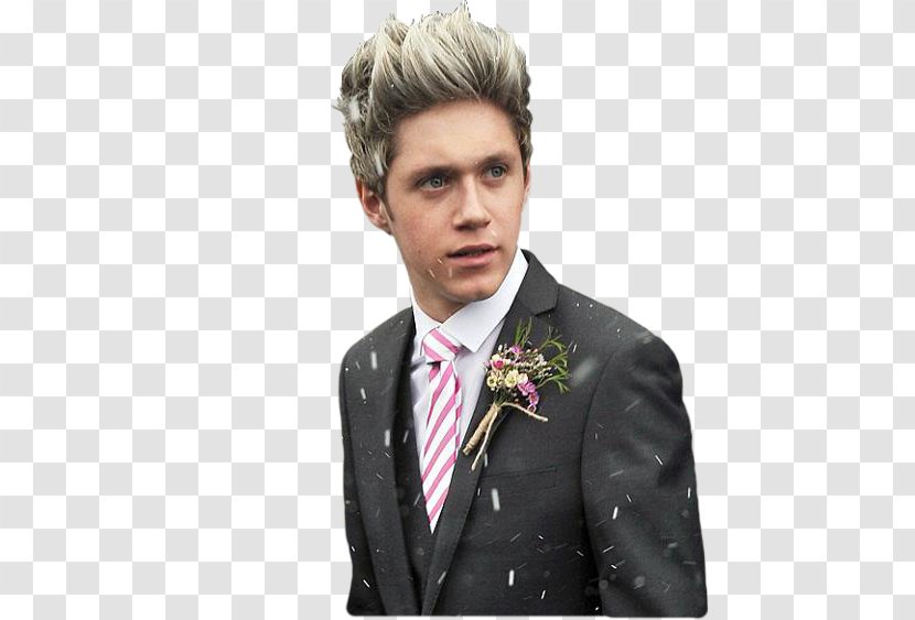 Niall Horan One Direction Song - Heart Transparent PNG