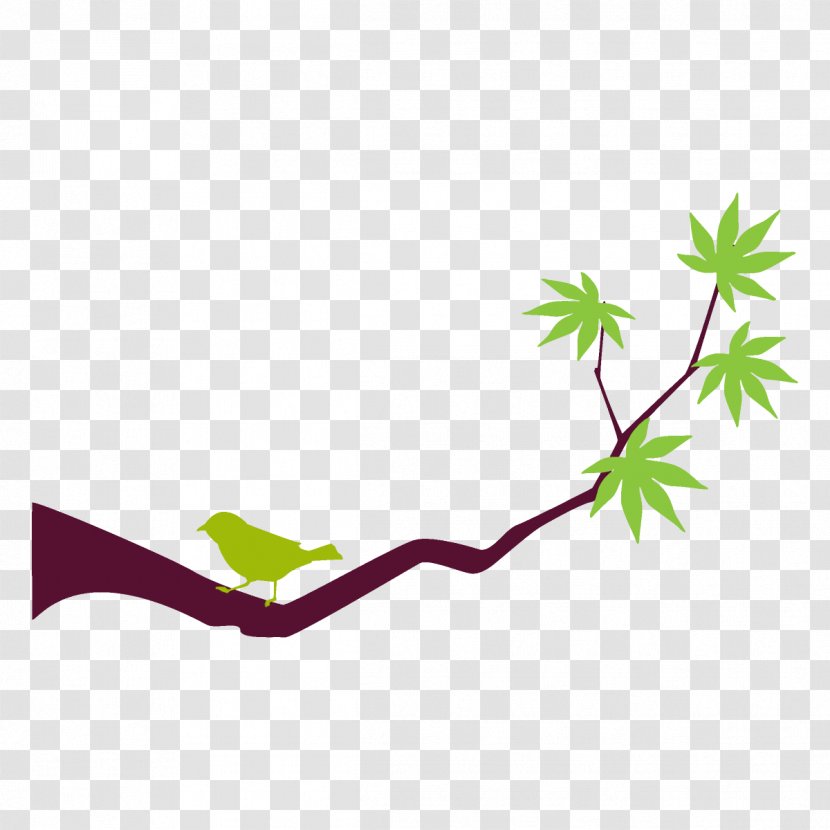 Maple Branch Leaves Tree - Plant Stem - Flower Transparent PNG