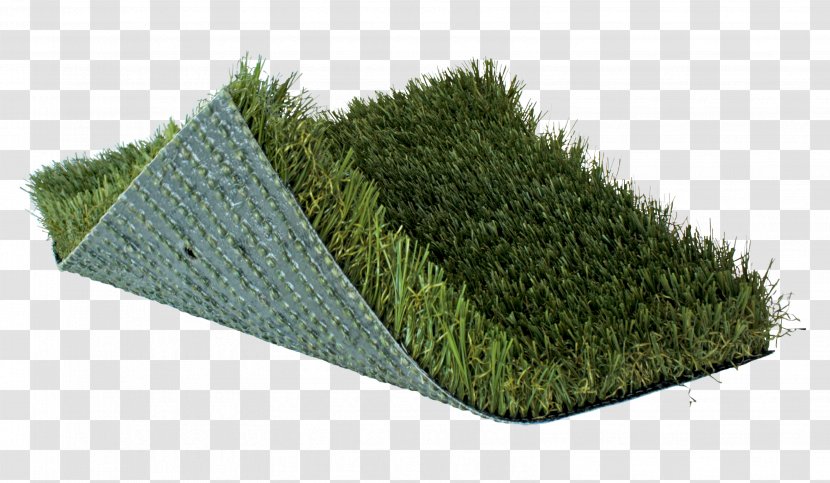 Kentucky Artificial Turf Landscaping Lawn Garden - Fescues Transparent PNG