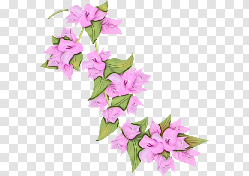Flower Pink Plant Bougainvillea Lilac Transparent PNG