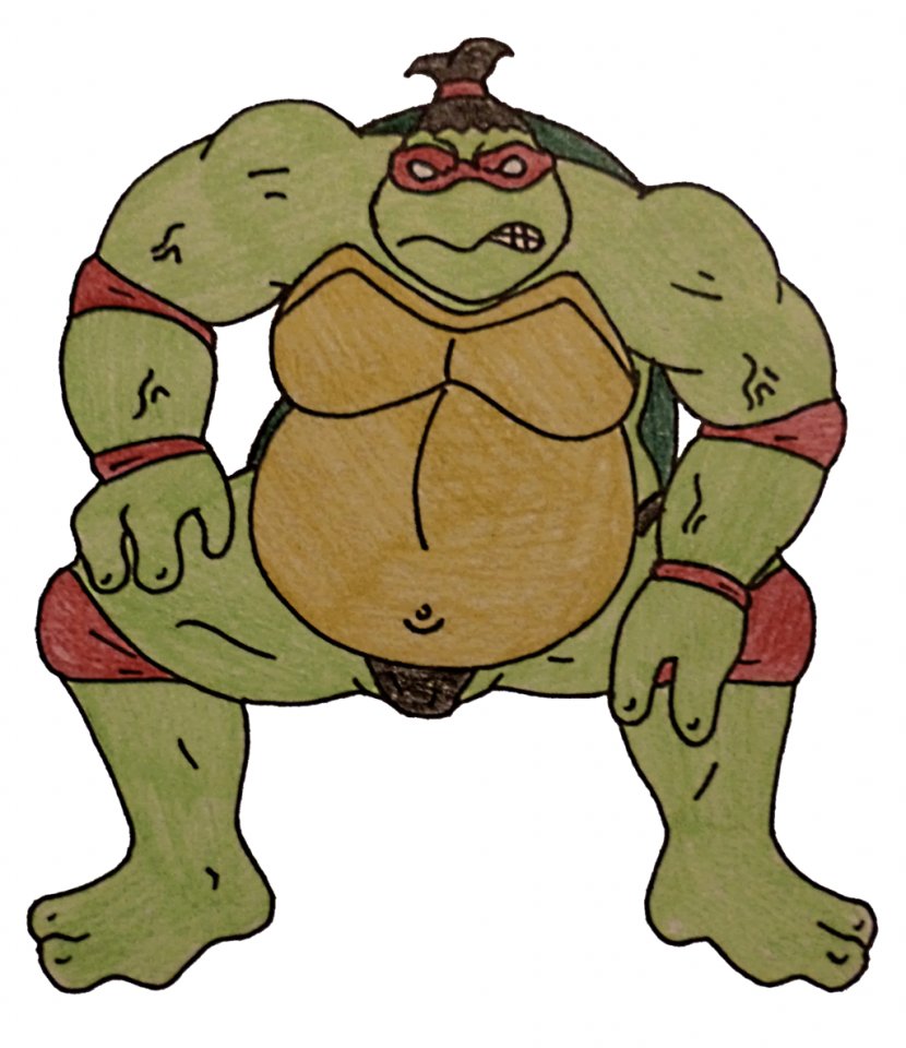 Raphael Teenage Mutant Ninja Turtles Sumo Rikishi - Fictional Character Transparent PNG