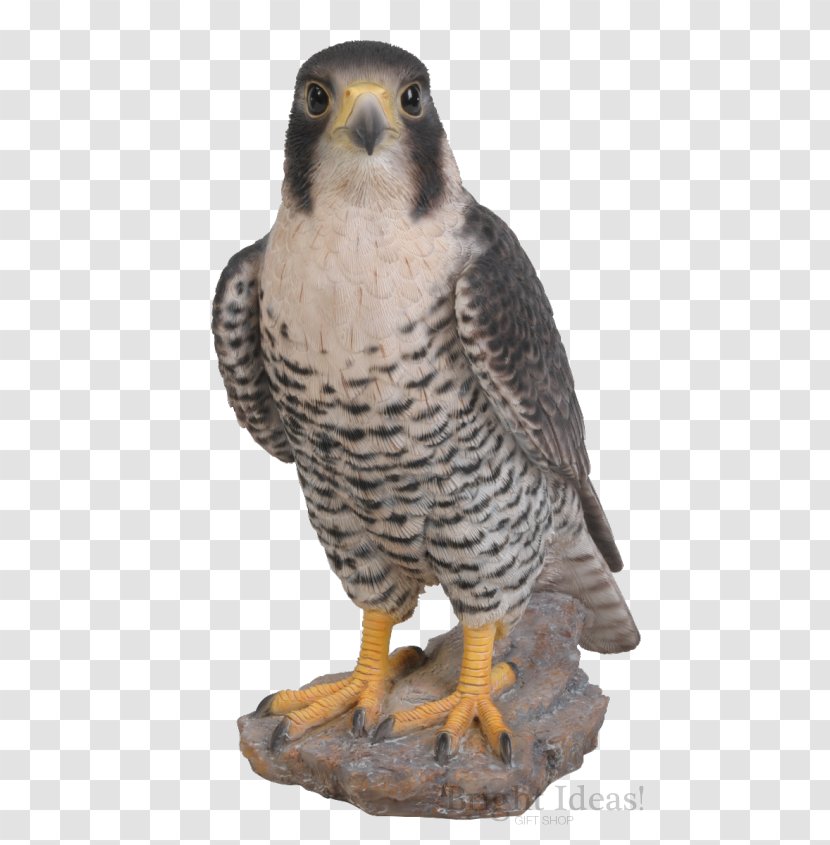 Peregrine Falcon Bird Ornament Art - Lawn Ornaments Garden Sculptures Transparent PNG