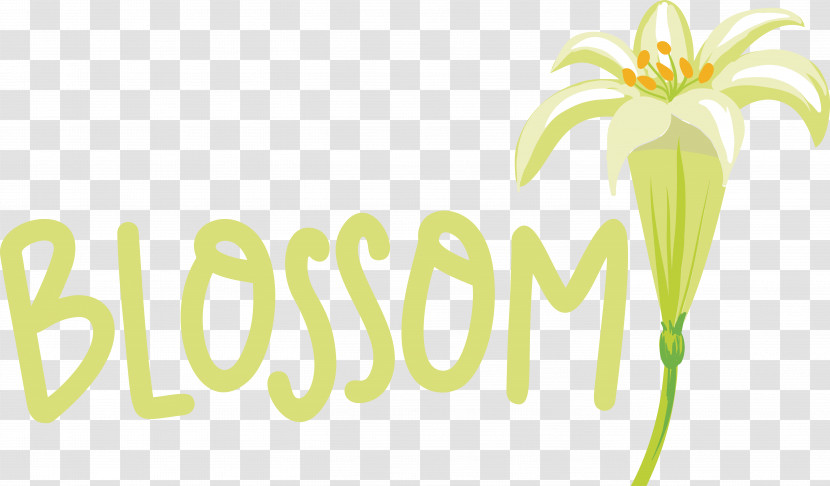 Logo Font Green Flower Fruit Transparent PNG