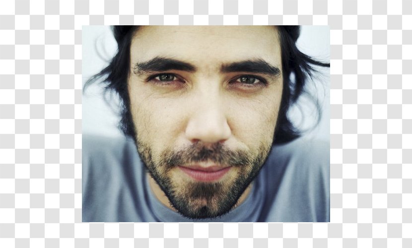 Patrick Watson Portrait Photography Musician - Silhouette - Tree Transparent PNG