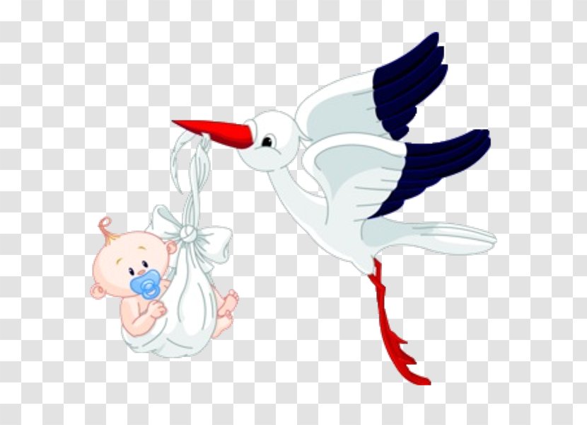 Bird Infant Clip Art - Fish - Animal Stork Transparent PNG