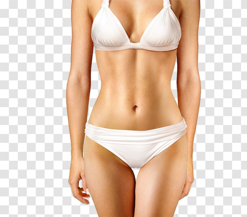 Abdominoplasty Abdomen Navel Liposuction Stock Photography - Frame - Scar Transparent PNG