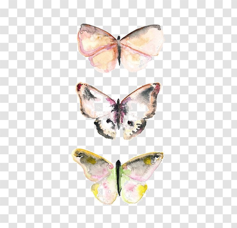 Pieridae Butterfly Watercolor Painting Drawing Work Of Art - Pollinator Transparent PNG