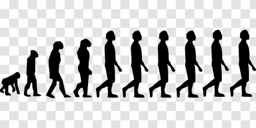 Group Of People Background - Introduction To Evolution - Gesture Team Transparent PNG
