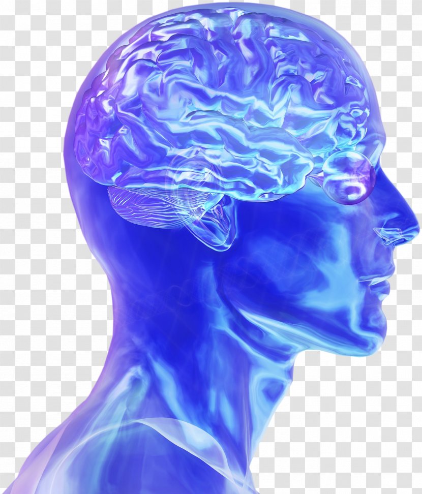 Blue Brain Project Human Neuroscience Electrical Stimulation - Silhouette Transparent PNG