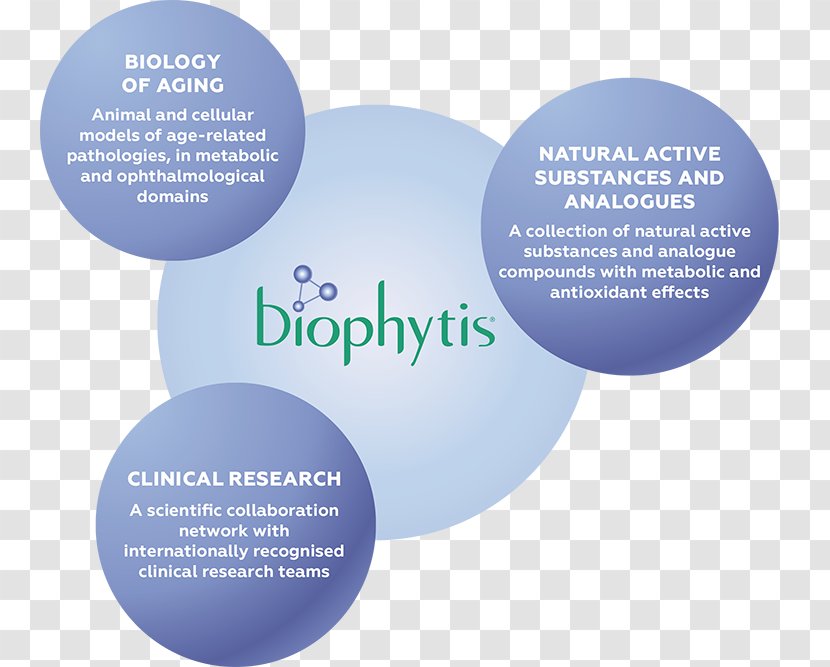 Science Scientist Research Organization Biophytis - Text Transparent PNG